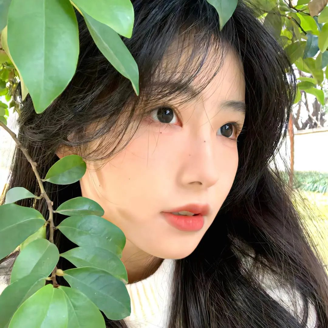 阿爸的情人
